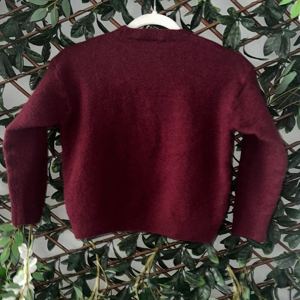 Zara Kids Burgundy Sweater
